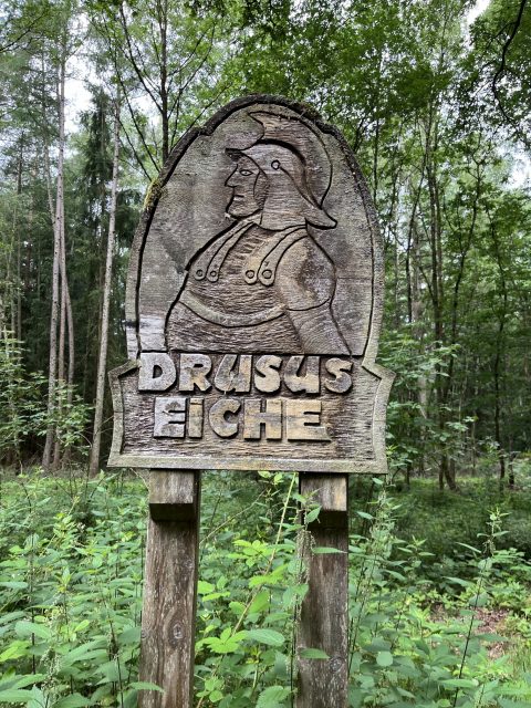 Tafel Druuseiche
