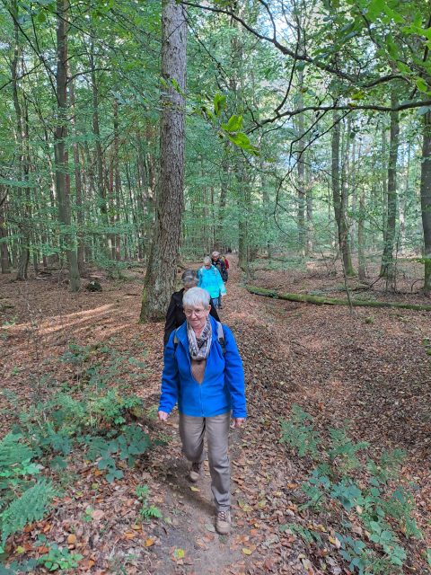Wandern 2026_10_11 Gänsemarsch