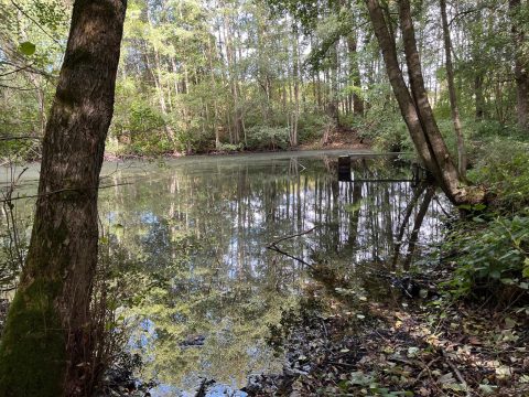 Wandern 2026_10_11 See