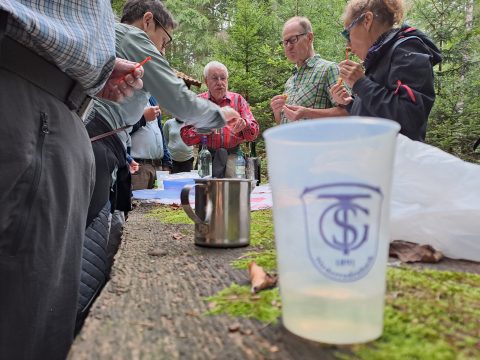 Wanderrast im Wald vor Büdingen