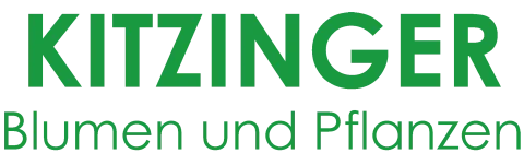 kitzinger_blumen_und_pflanzen_gruen